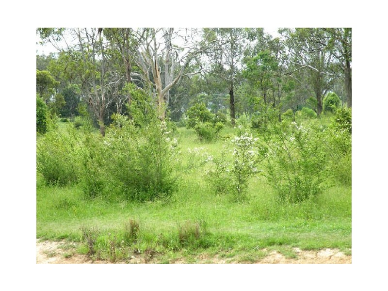 Currans Hill NSW 2567