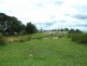 Currans Hill NSW 2567