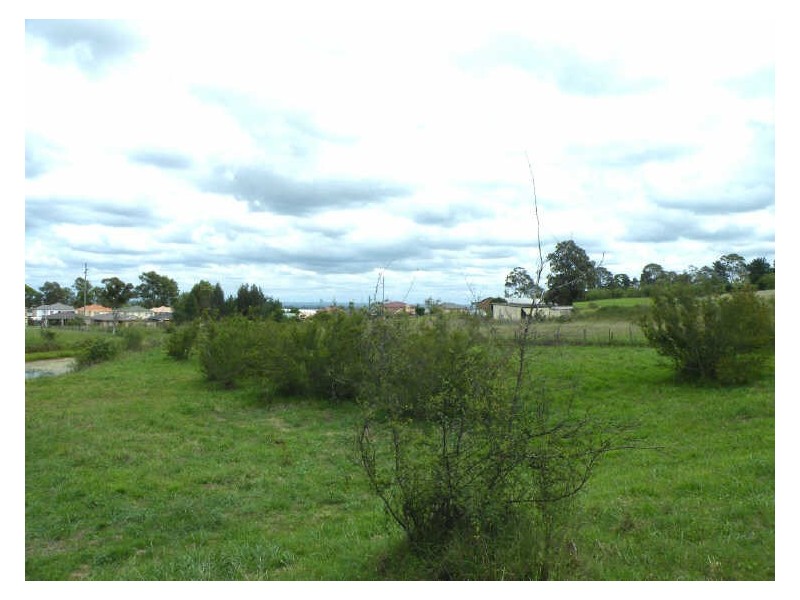 Currans Hill NSW 2567