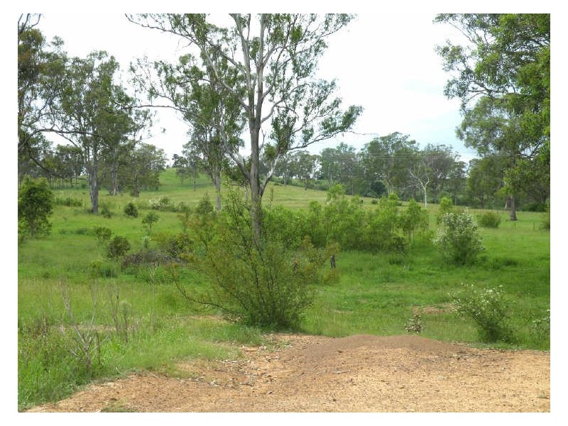 Currans Hill NSW 2567