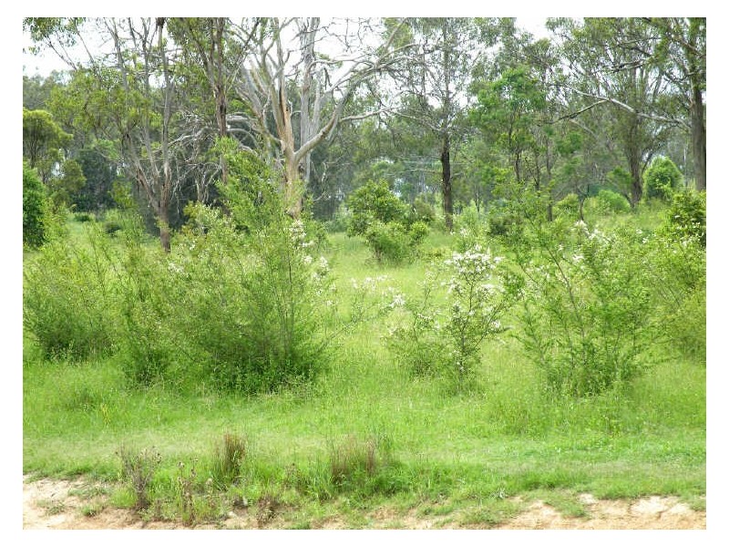 Currans Hill NSW 2567