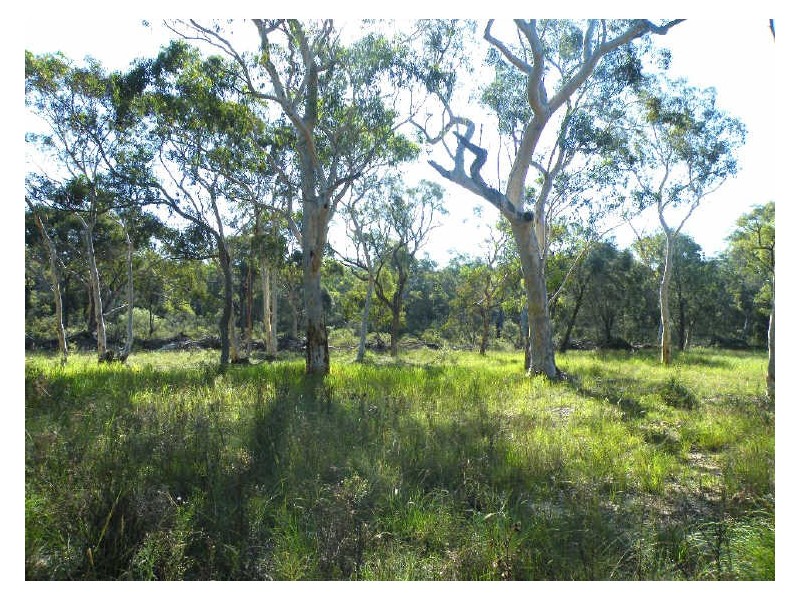 Pheasants Nest NSW 2574