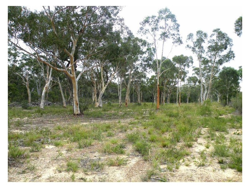 Pheasants Nest NSW 2574