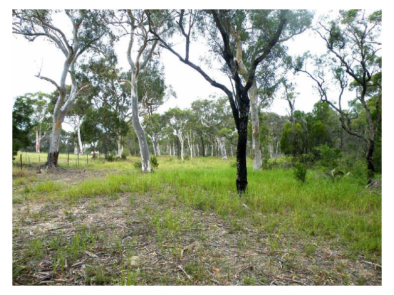 Pheasants Nest NSW 2574