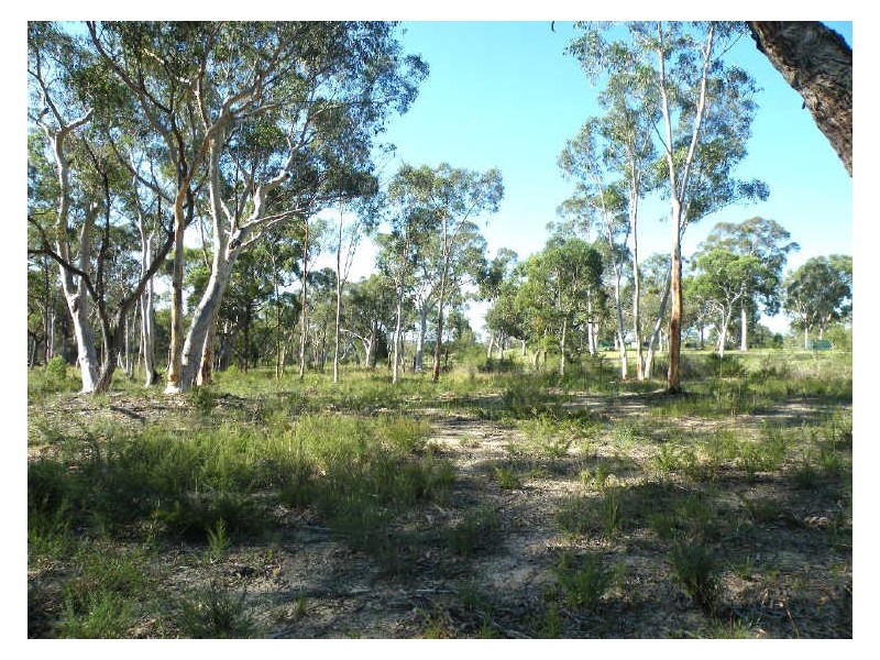 Pheasants Nest NSW 2574
