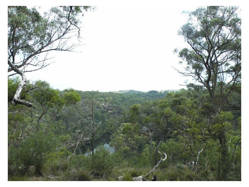 Pheasants Nest NSW 2574