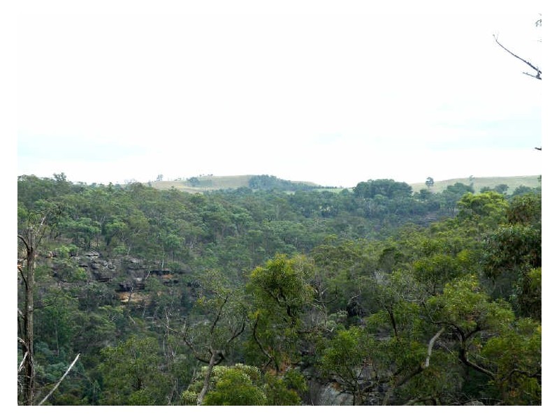Pheasants Nest NSW 2574