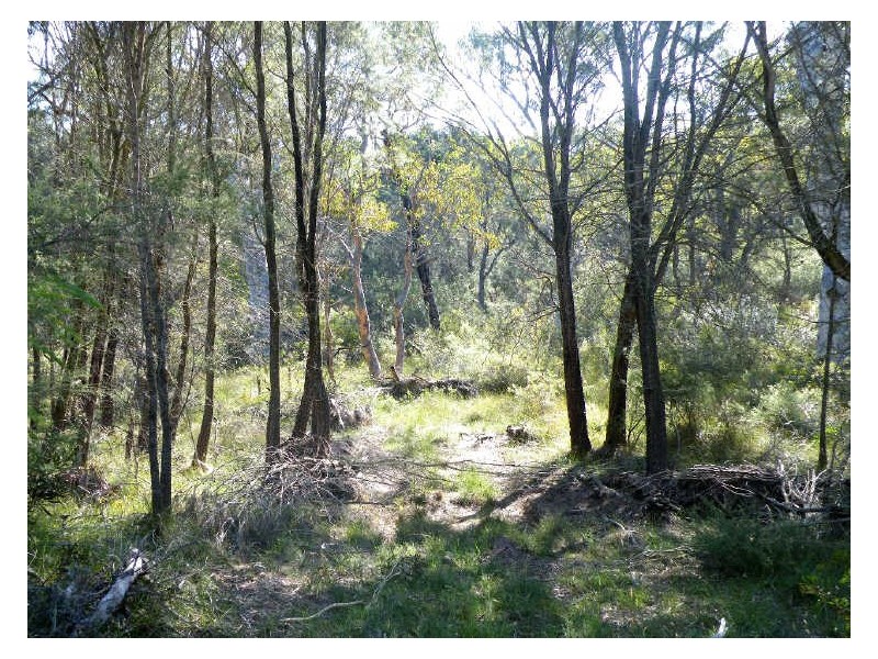 Pheasants Nest NSW 2574