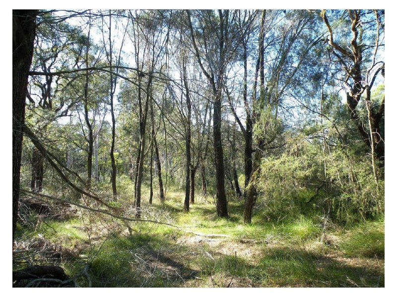 Pheasants Nest NSW 2574