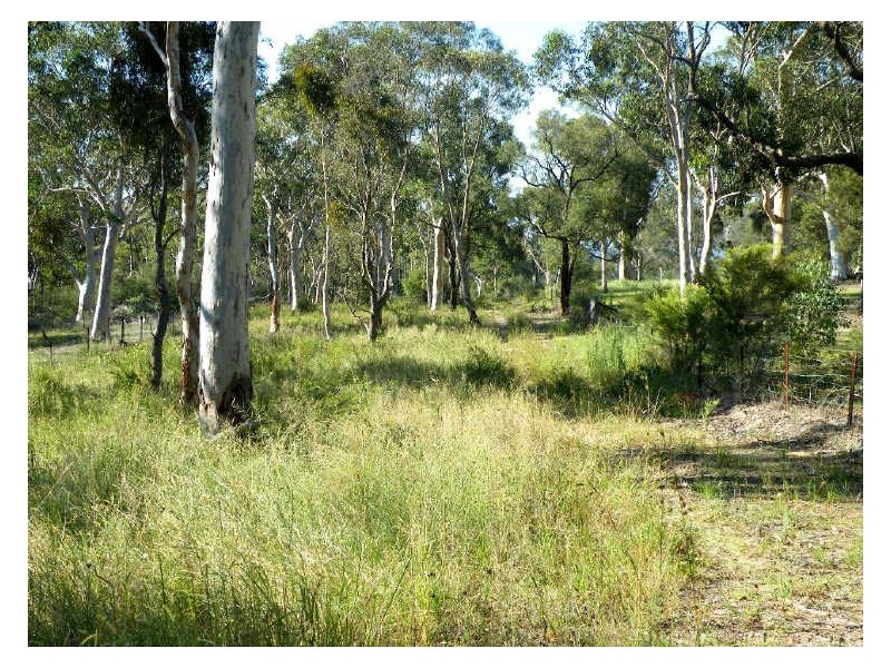Pheasants Nest NSW 2574