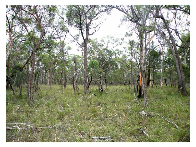 Pheasants Nest NSW 2574