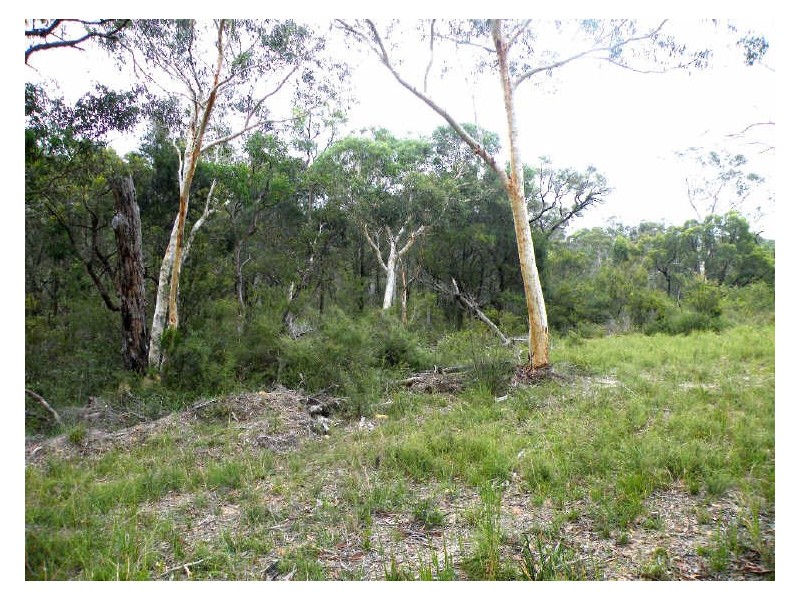 Pheasants Nest NSW 2574