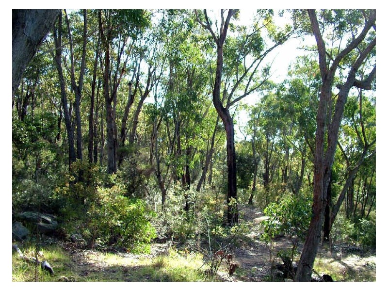 Buxton NSW 2571