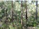 Buxton NSW 2571