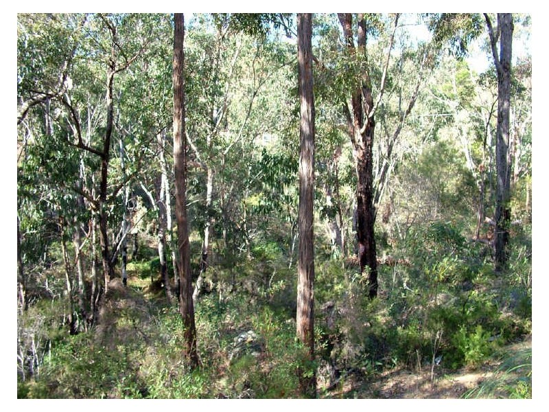 Buxton NSW 2571