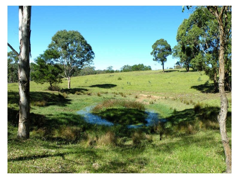 Pheasants Nest NSW 2574