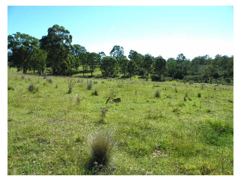Pheasants Nest NSW 2574