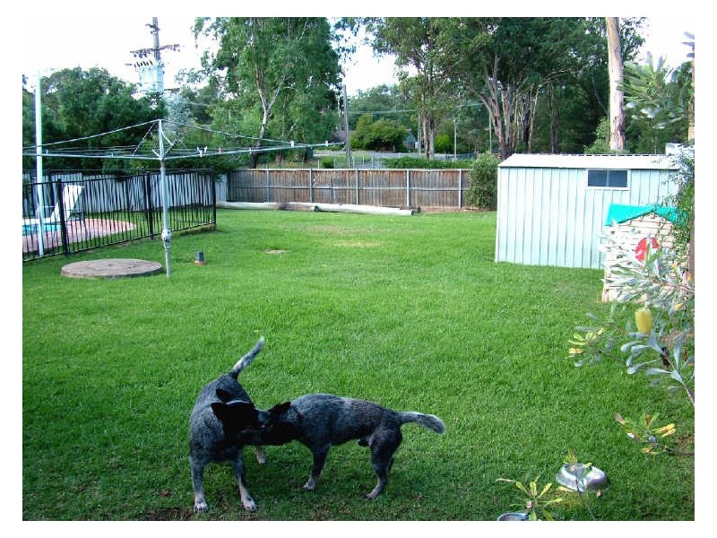 Douglas Park NSW 2569