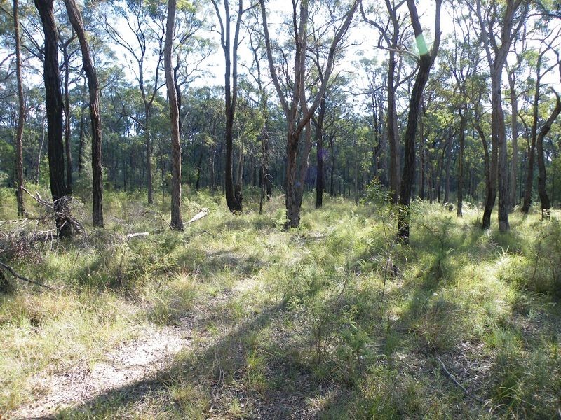 Bargo NSW 2574
