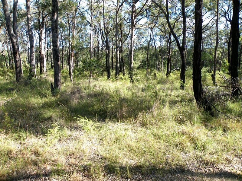 Bargo NSW 2574