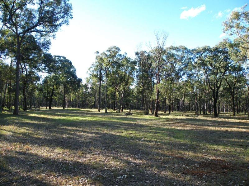 Bargo NSW 2574