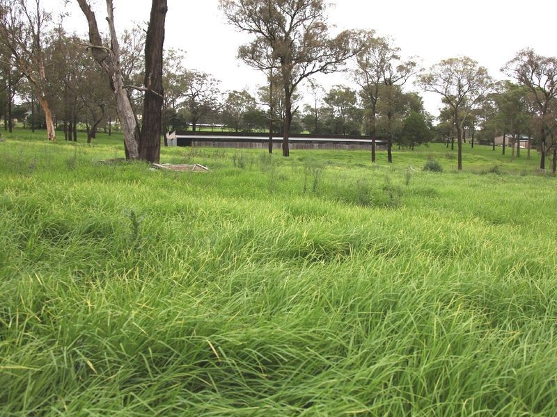Thirlmere NSW 2572