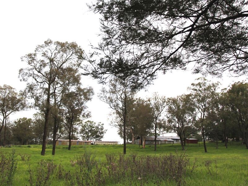 Thirlmere NSW 2572