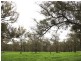Thirlmere NSW 2572