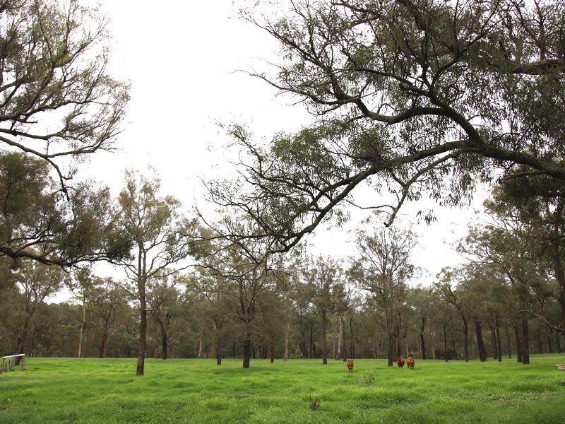 Thirlmere NSW 2572