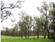 Thirlmere NSW 2572