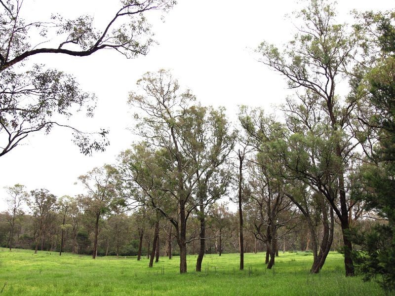 Thirlmere NSW 2572