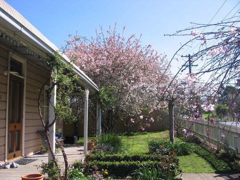 Picton NSW 2571