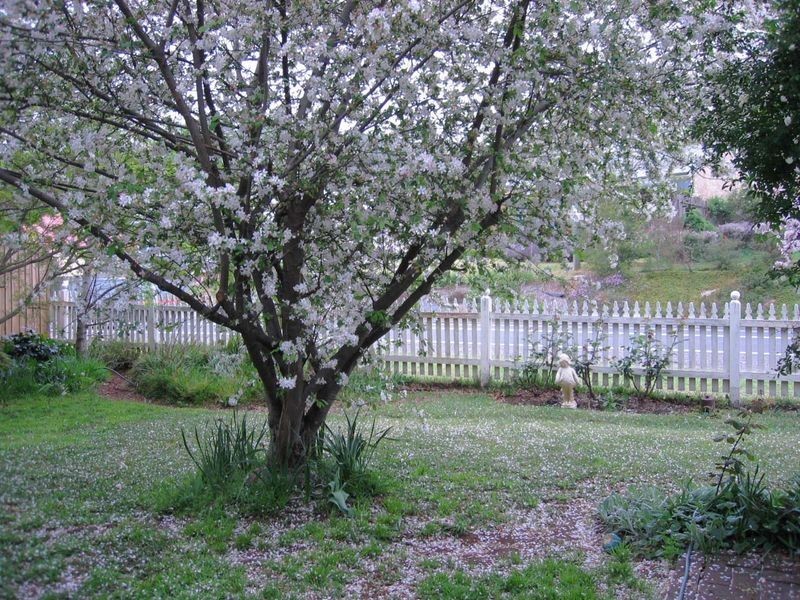 Picton NSW 2571