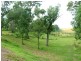 Picton NSW 2571