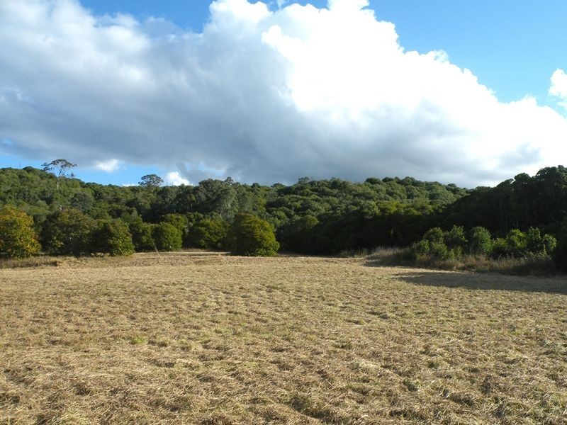 233-239 Argyle Street, Picton NSW 2571