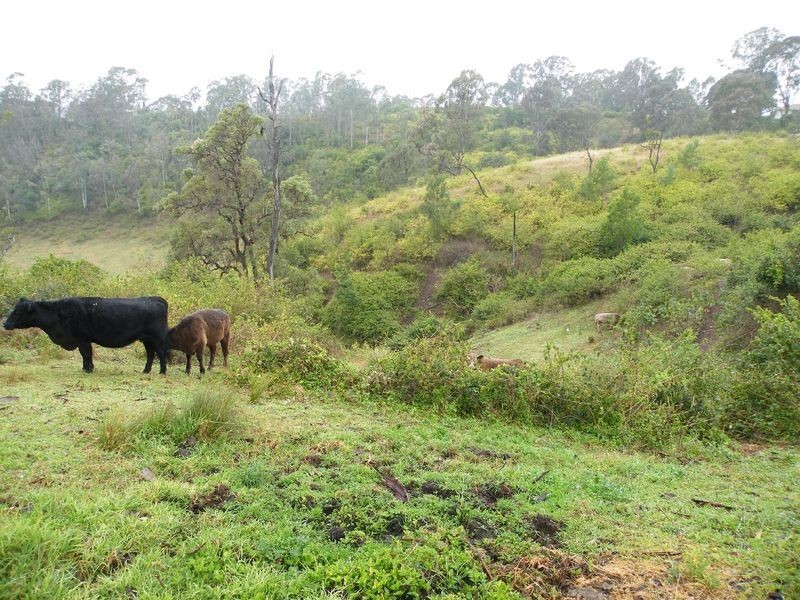 The Oaks NSW 2570