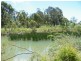 Buxton NSW 2571