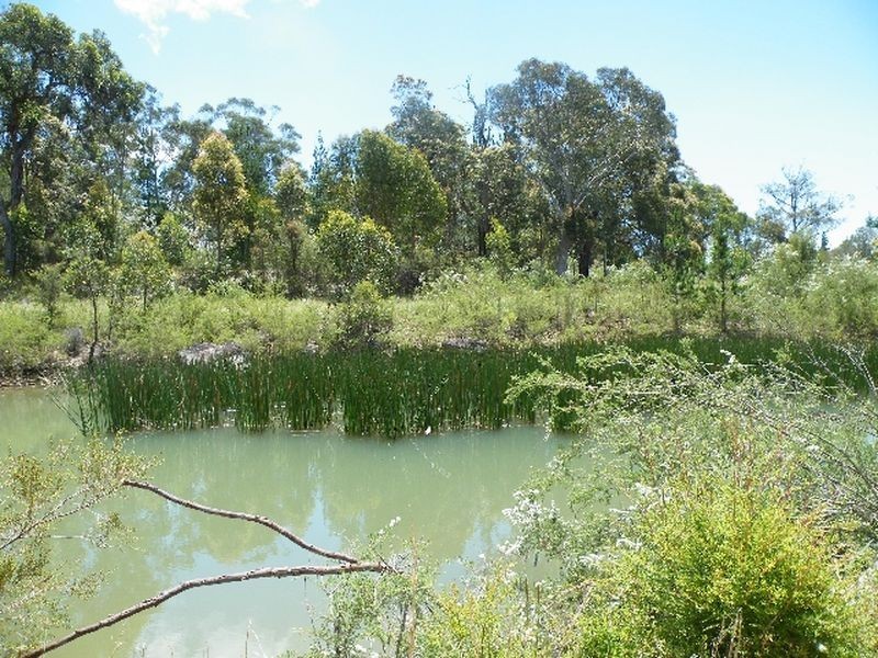 Buxton NSW 2571