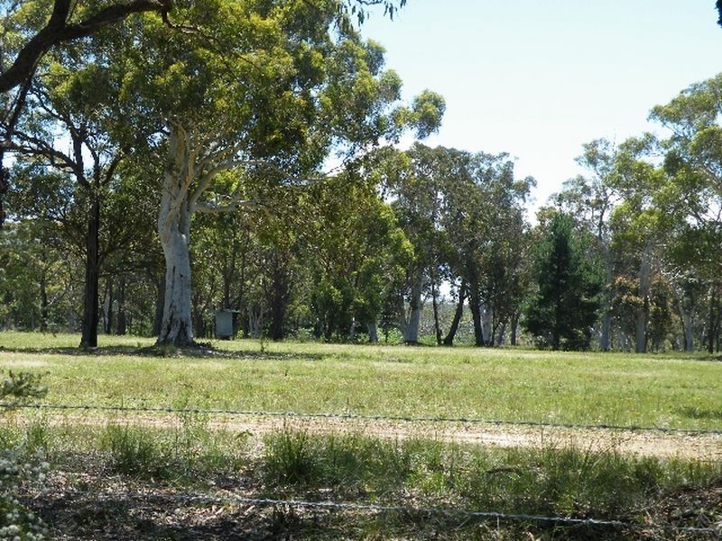 Buxton NSW 2571