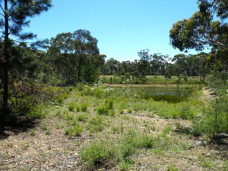 Buxton NSW 2571