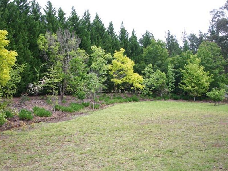 Buxton NSW 2571