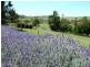 Douglas Park NSW 2569