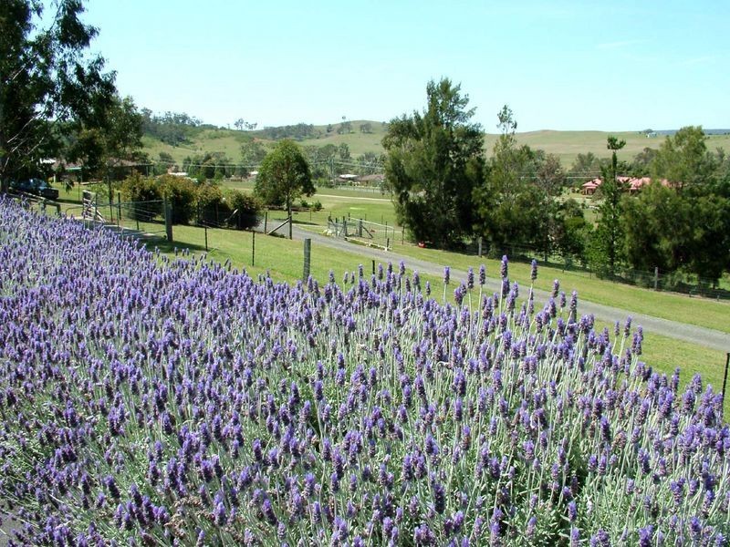 Douglas Park NSW 2569