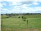 Pheasants Nest NSW 2574