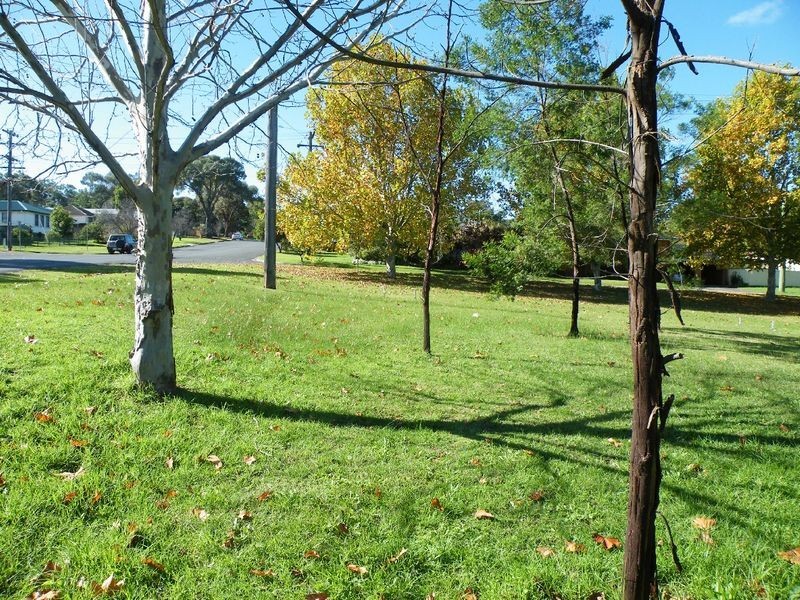 Picton NSW 2571