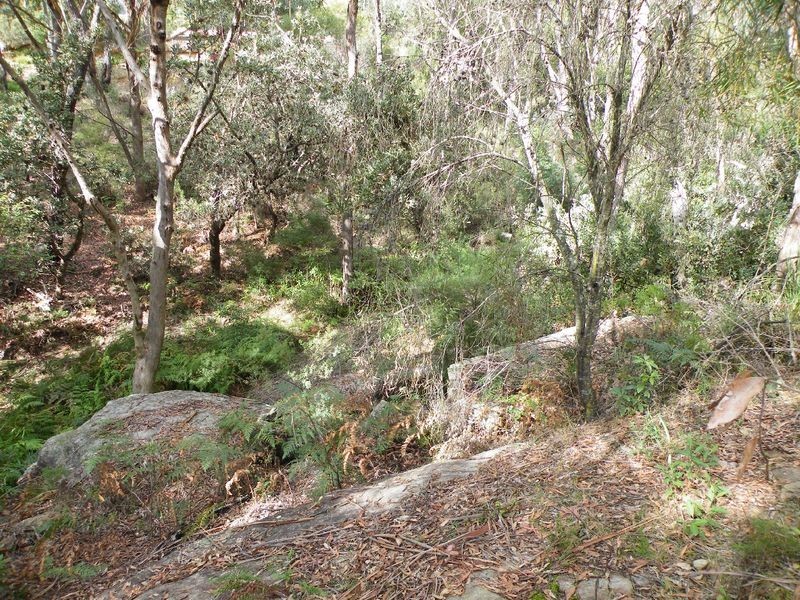 20 Belair Road, Buxton NSW 2571