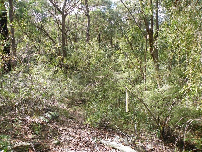 20 Belair Road, Buxton NSW 2571