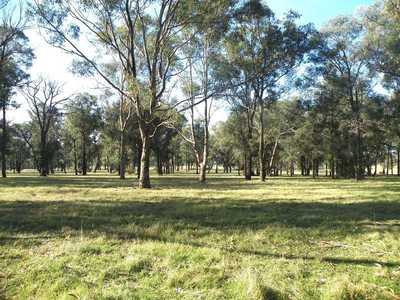 Thirlmere NSW 2572