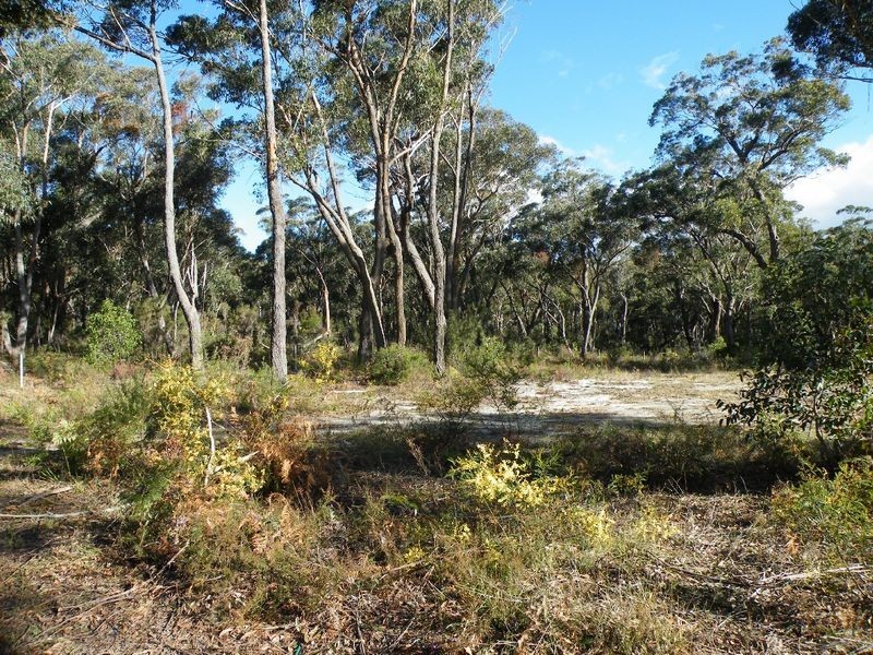 Hill Top NSW 2575