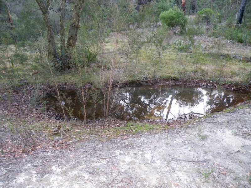 Hill Top NSW 2575